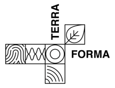 Logo TF